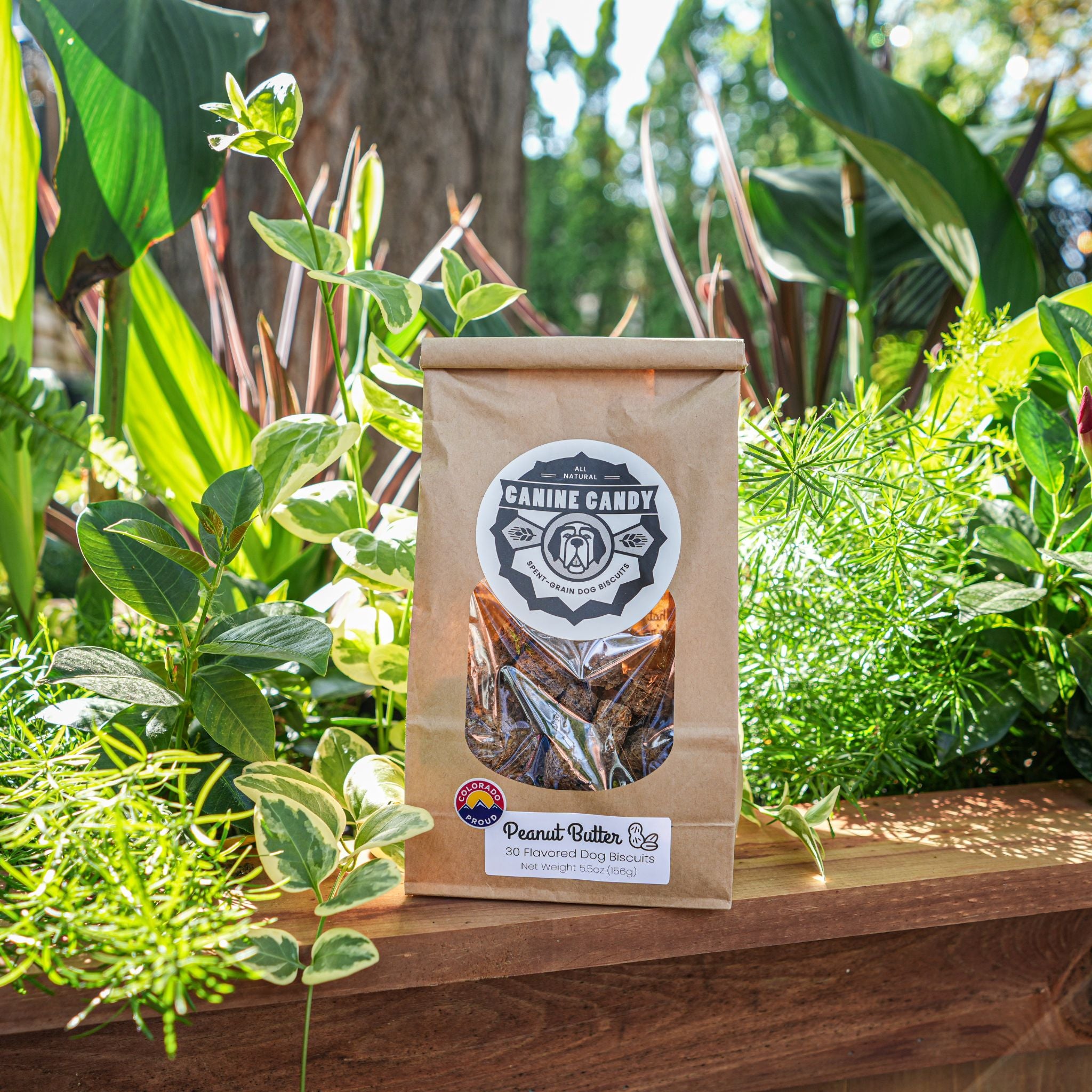 Peanut Butter Biscuits – Skin & Coat Support