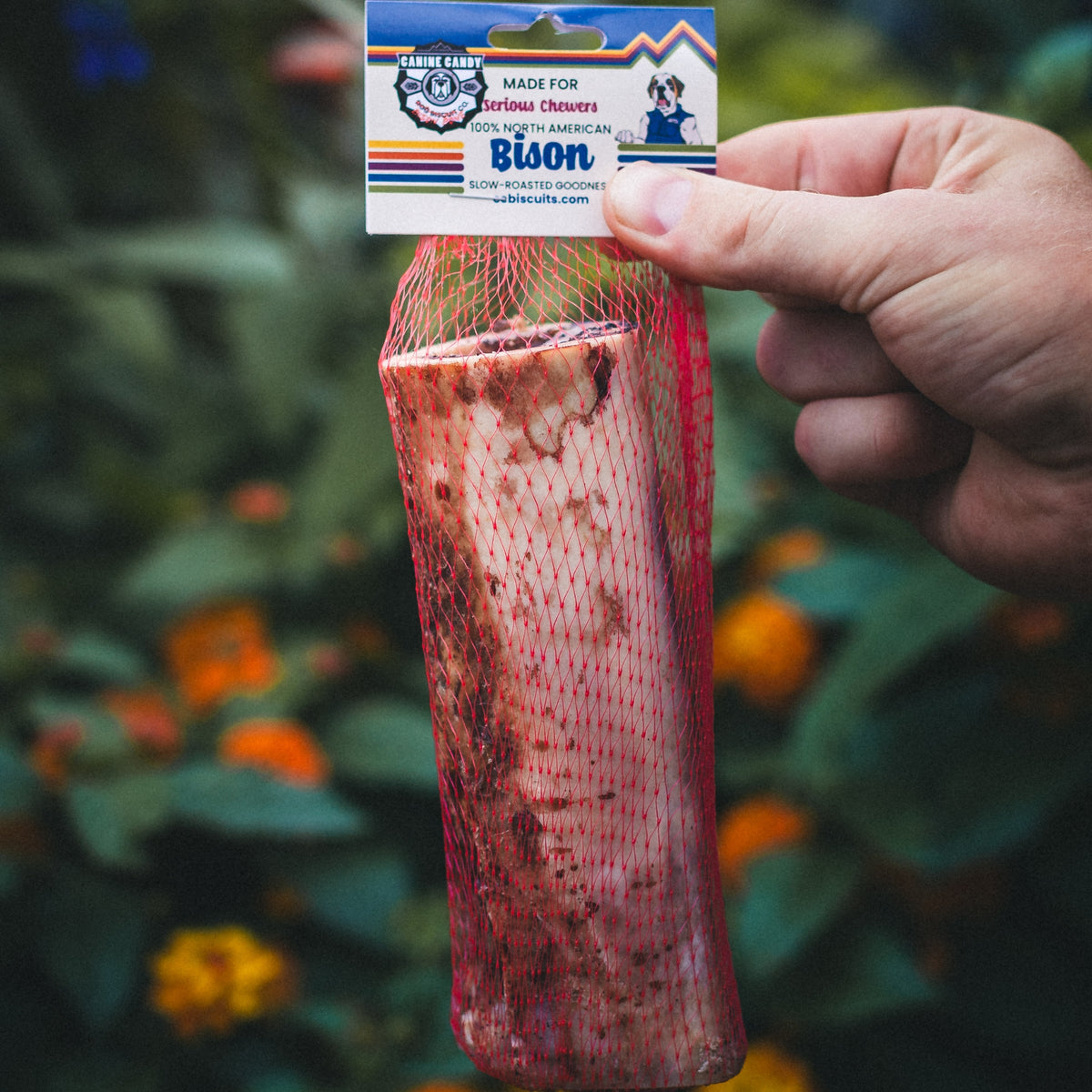 6" Bison Marrow Bone – Refillable Natural Chew