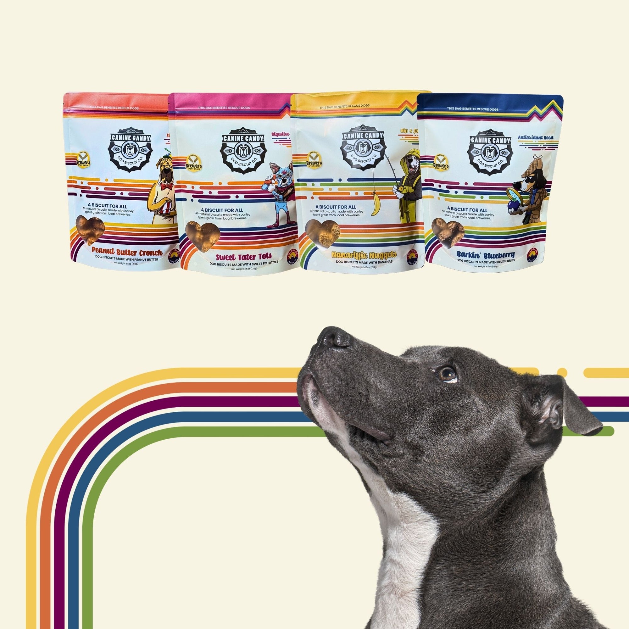 The Tasting Flight: BIG BAG BUNDLE | Barley Spent Grain Biscuits