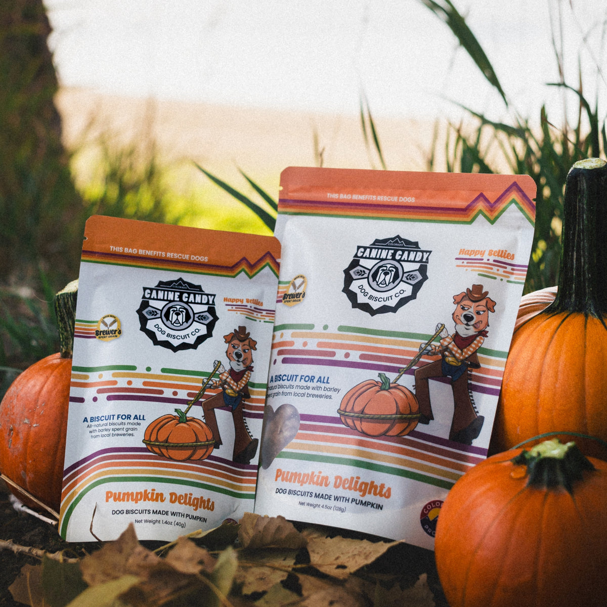 Pumpkin Delights: Fall Seasonal | Belly Care | Barley Spent Grain Biscuits