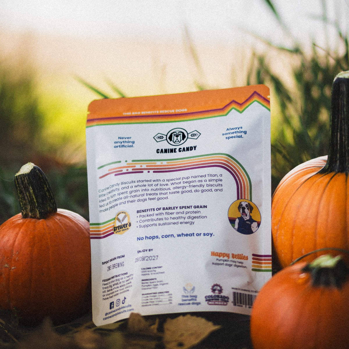Pumpkin Delights: Fall Seasonal | Belly Care | Barley Spent Grain Biscuits