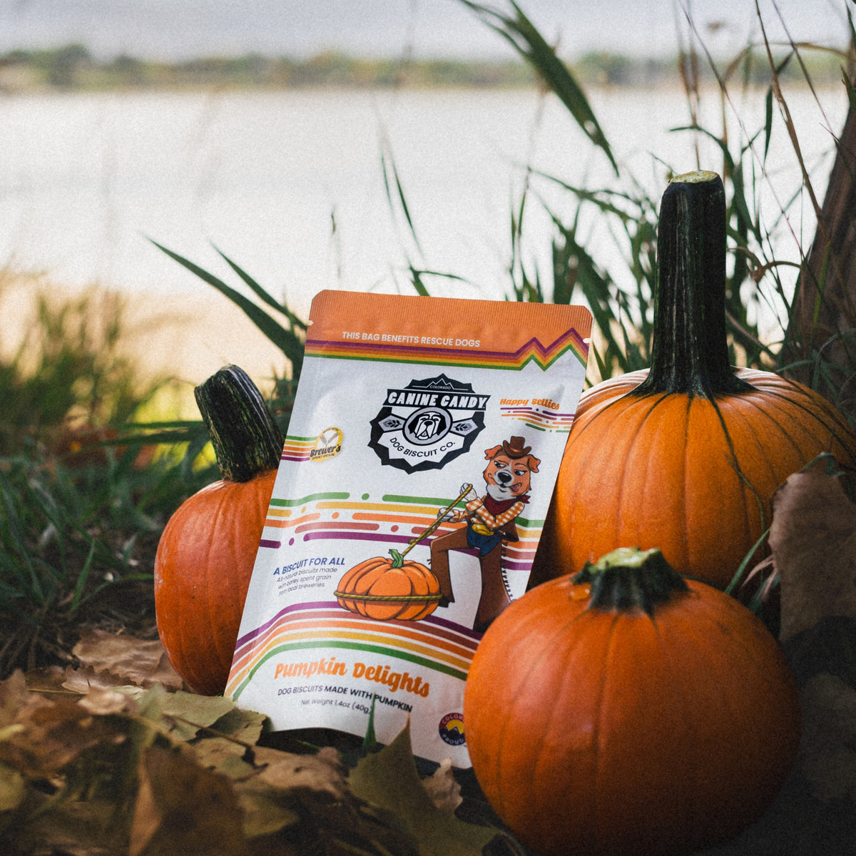 Pumpkin Delights: Fall Seasonal | Belly Care | Barley Spent Grain Biscuits