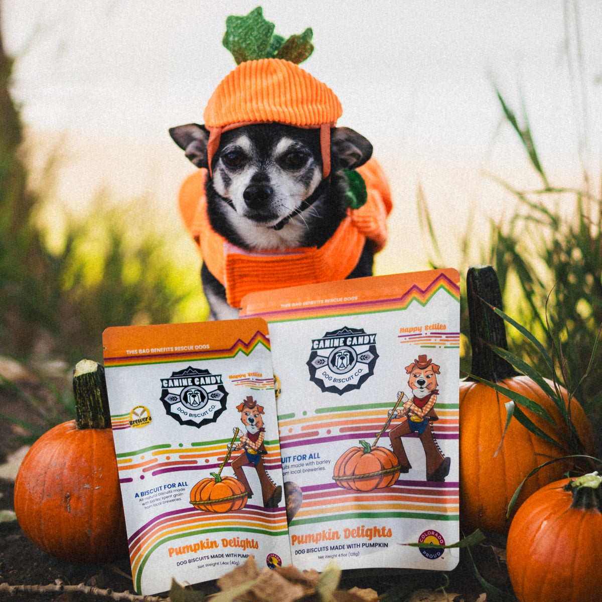 Pumpkin Delights: Fall Seasonal | Belly Care | Barley Spent Grain Biscuits