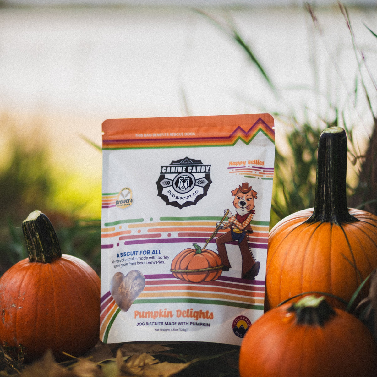 Pumpkin Delights: Fall Seasonal | Belly Care | Barley Spent Grain Biscuits
